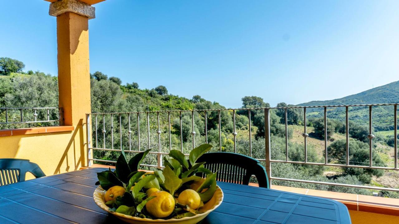 Appartamenti Dodi Lt - Pms Casevacanze Budoni Exterior photo